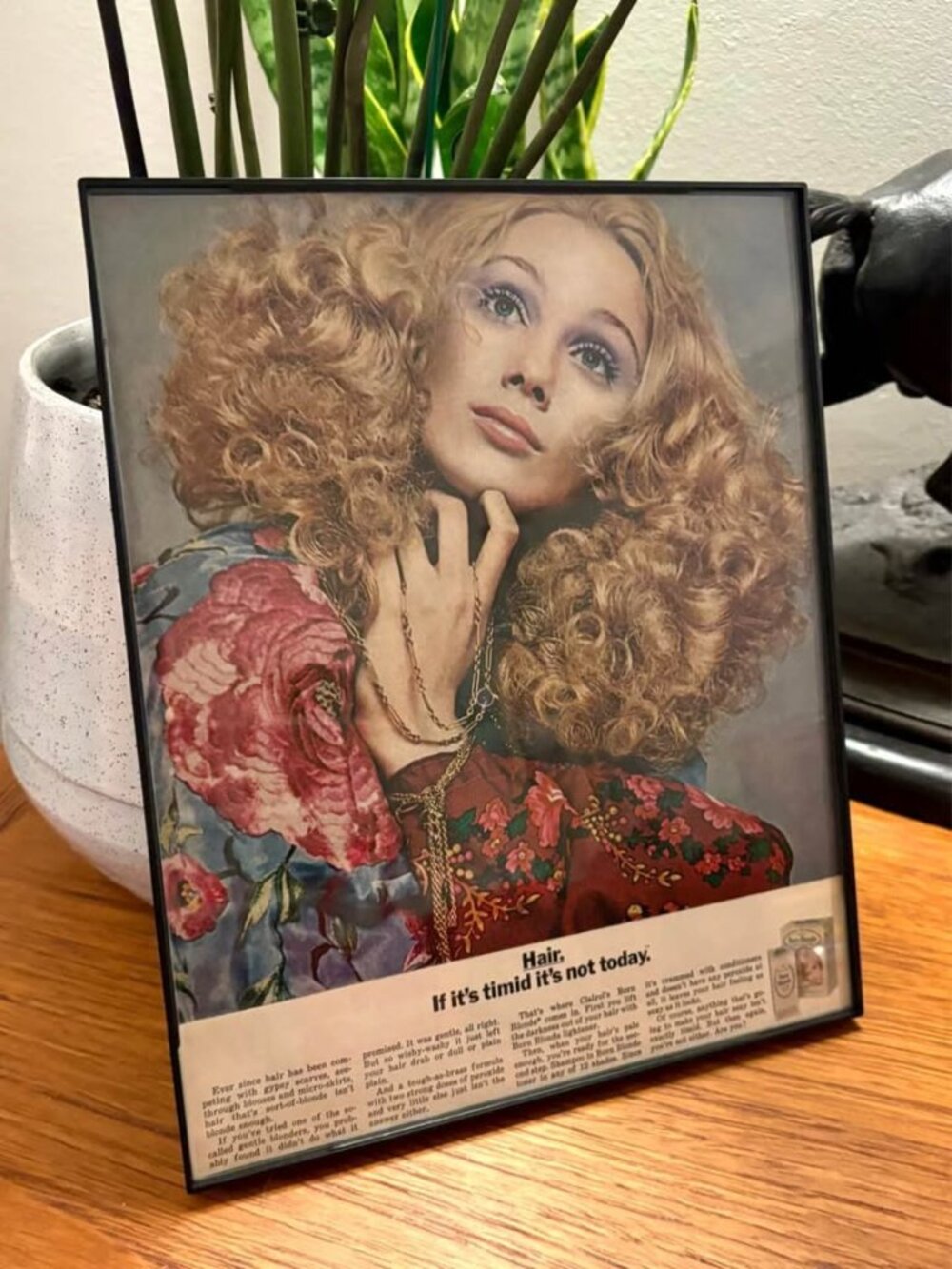 Vintage Clairol Born Blonde Hair Framed 1970s Retro Beauty Ad